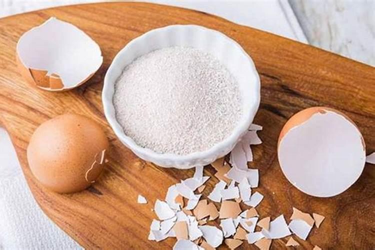 蛋壳可以当肥料放进花盆吗