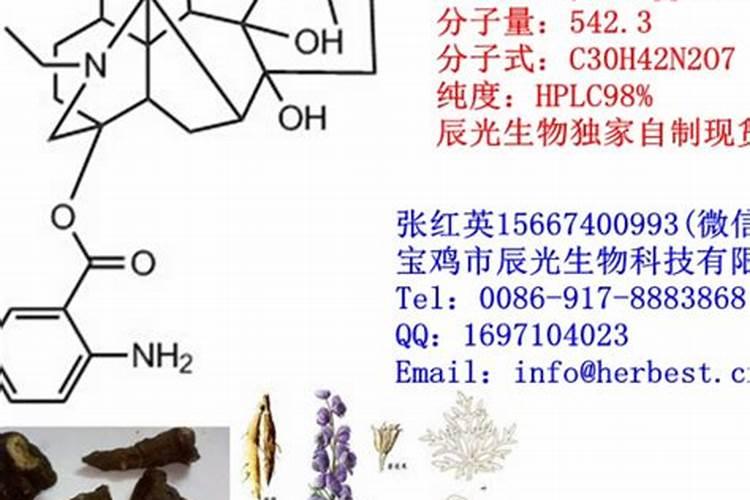 乌菜是什么东西？