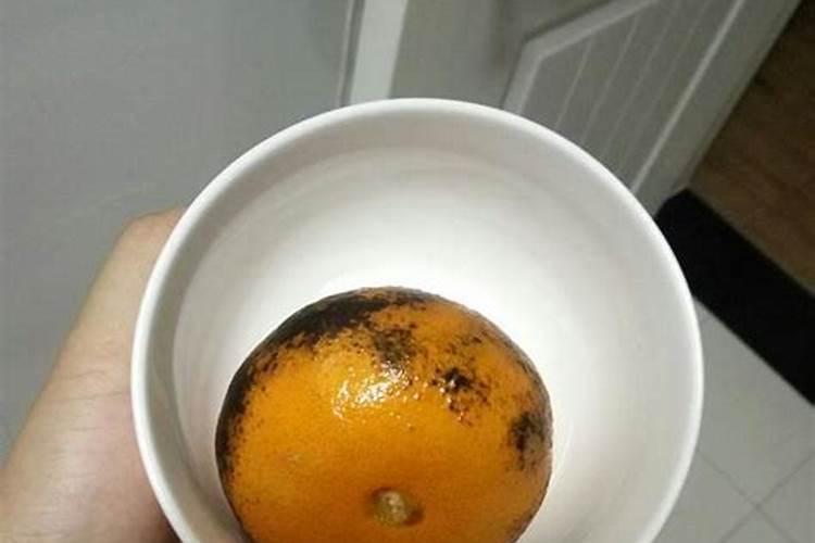 橘子没成熟是什么样子的