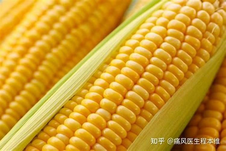 玉米底肥一次性施肥 氮磷钾 各用多少？