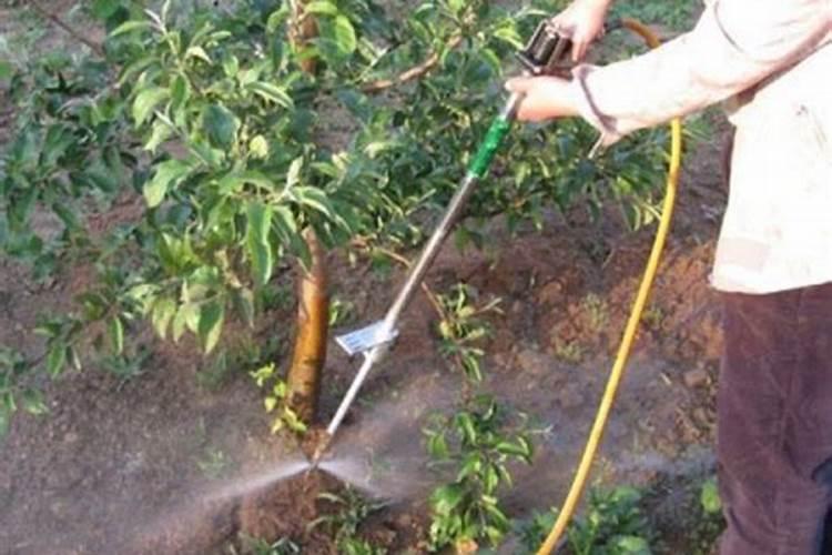水溶肥使用时注意事项、方法与用量？