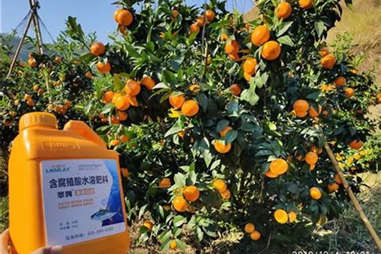 鱼蛋白水溶肥制作方法