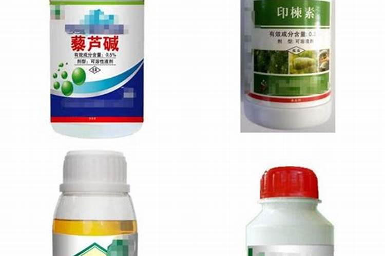 白术种植技术及亩收益