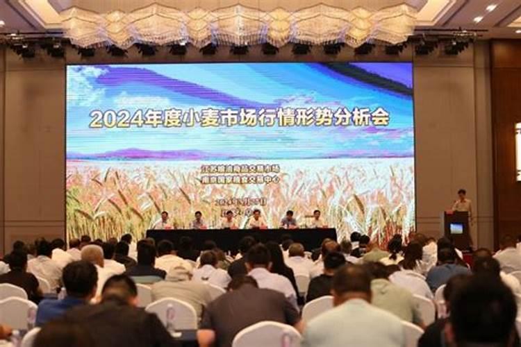 施可丰长效缓释肥效果怎么样