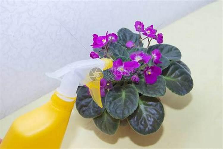 硼肥在花期的使用方法,缺硼的土壤适合种什么