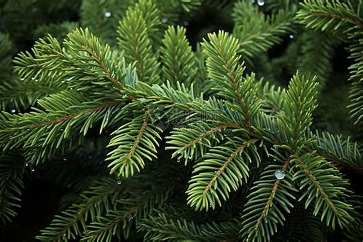 江西中微肥木醋液