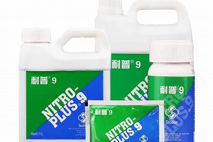 猕猴桃施肥的最佳时间