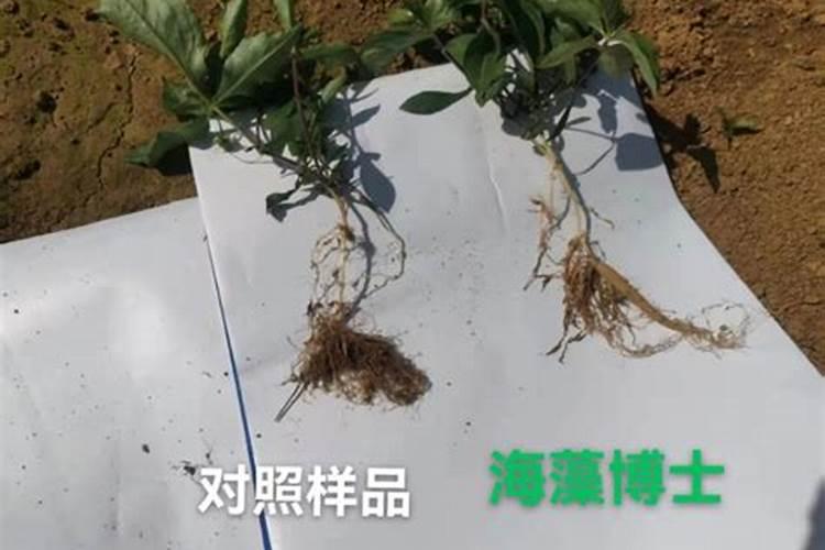 缺钾比缺钙危险？3个信号证明你缺钾了,建议吃这4种食物来缓解百度知 ...