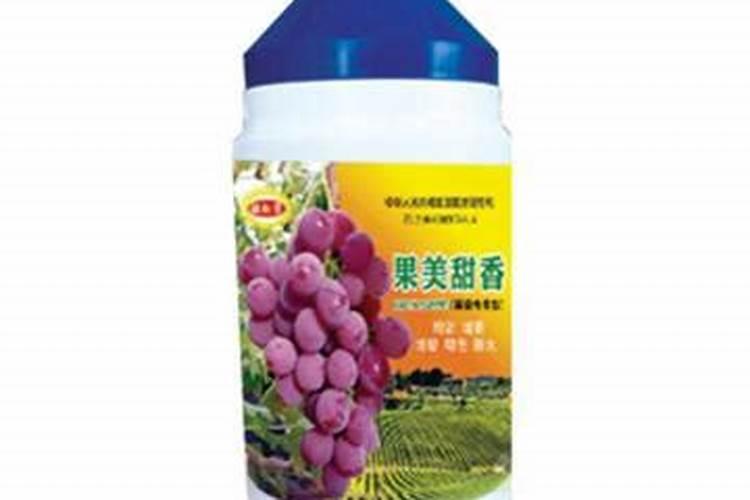 云南主要种植什么农作物