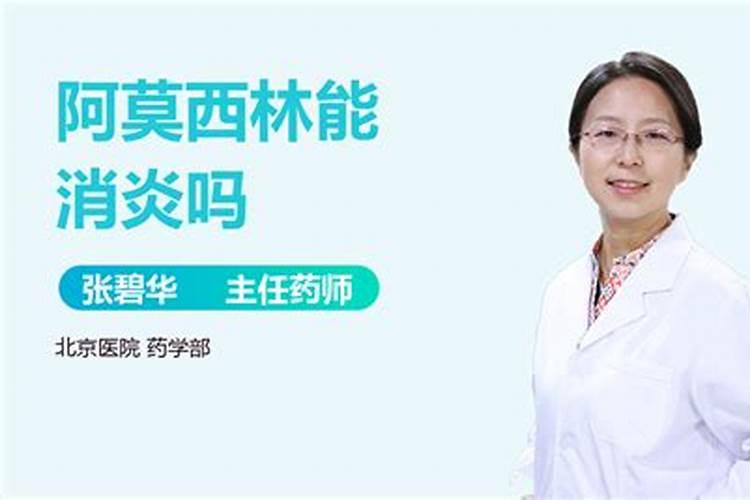 过期感冒药小钙片···养花来1粒,新叶呼呼冒,跟打了激素似的!