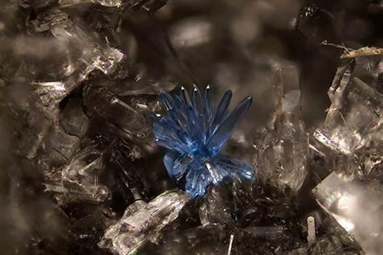 30斤水放多少硼肥,硼肥啥时候施效果好