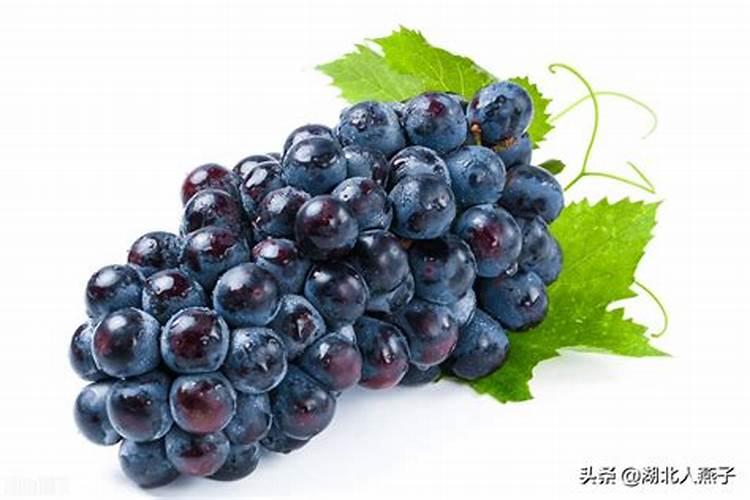 葡萄转色期水肥管理注意事项 怎么施肥浇水好