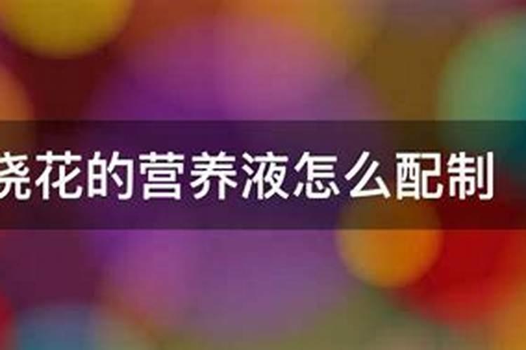养花的营养液怎么用