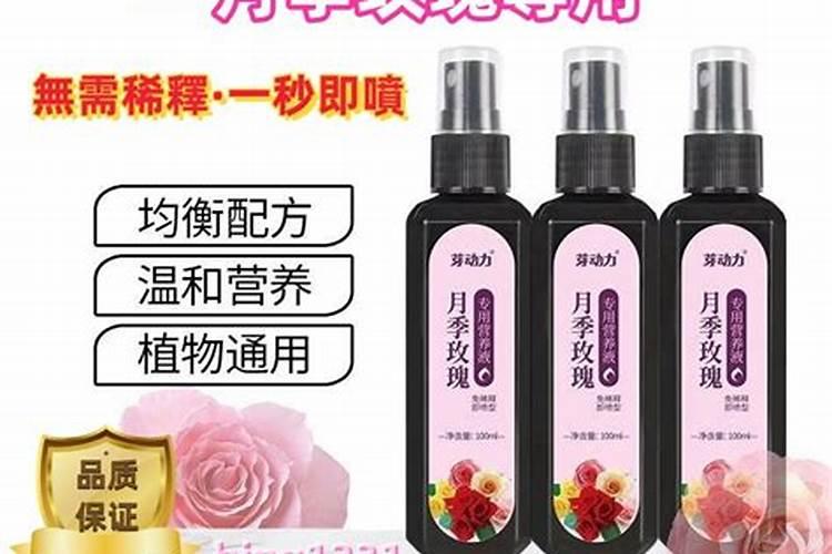 月季什么时候用氮肥