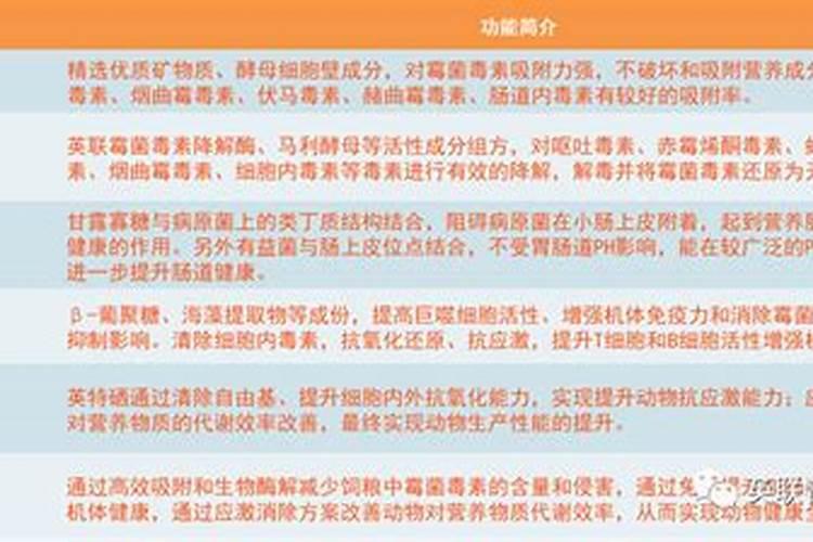 草莓什么时候种植最好 草莓怎么种