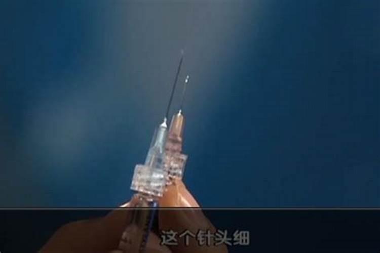 到哪里能买到真正的脱毒红薯苗。。。