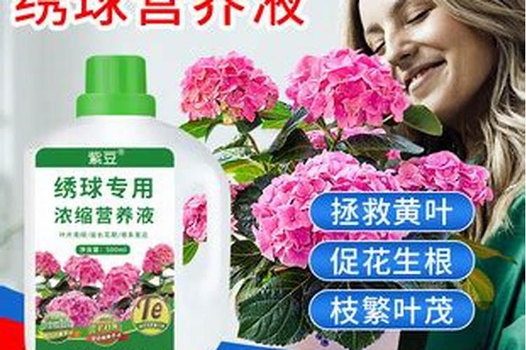 叶面肥加什么浇花最好用