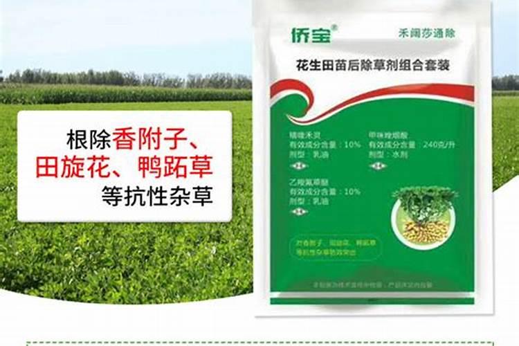 花生根腐病防治的最好杀菌剂