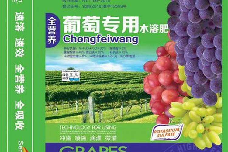 我有一大片葡萄园,可以用迪斯科针状肥吗？