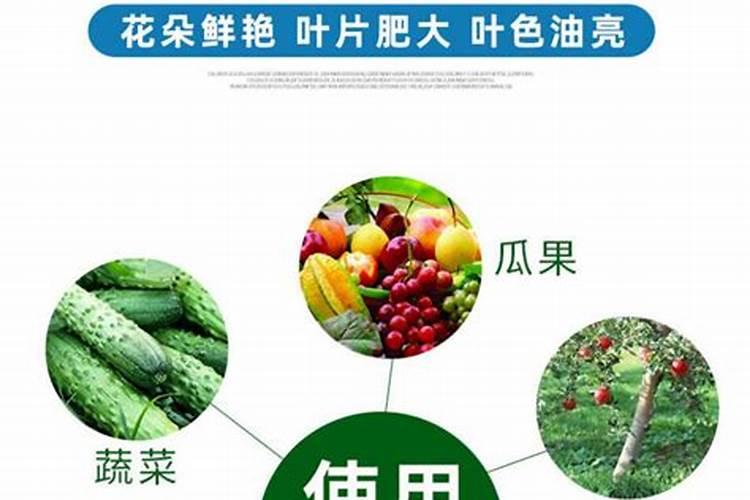 万代红标和蓝标的区别是什么