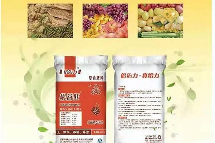 玉米如何使用叶面肥