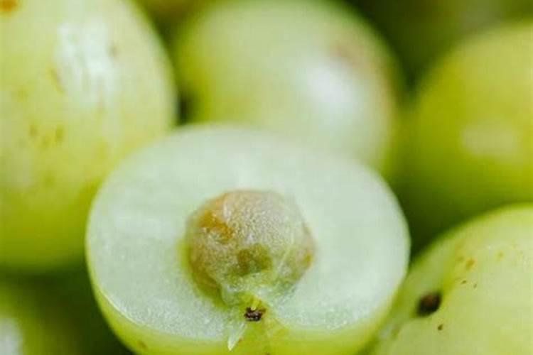 玉米大喇叭口期打什么叶面肥好？