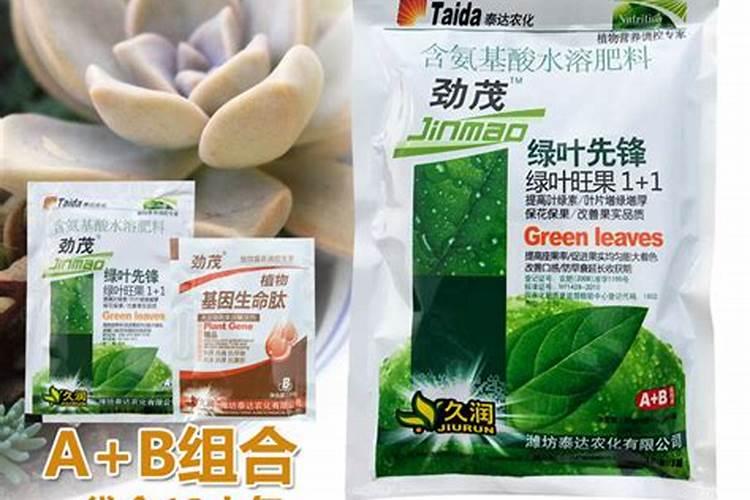 地黄种植有哪些管理方法