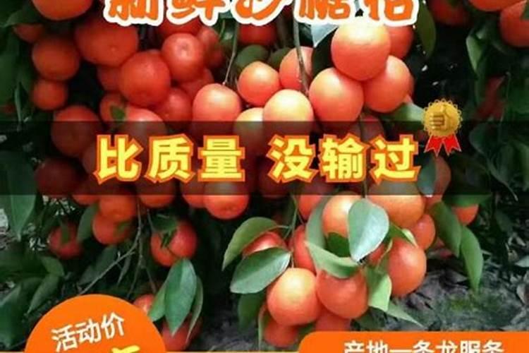 大棚西红柿种植时,钙镁硼锌四种肥料哪些可以混用？