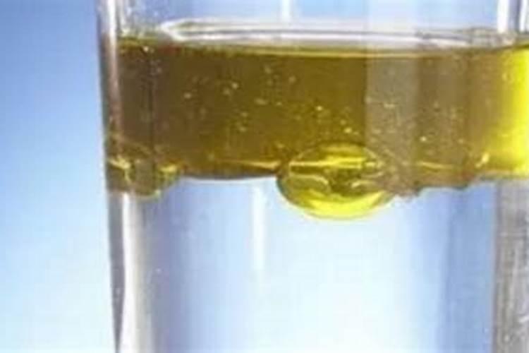 潲水油的提炼方法