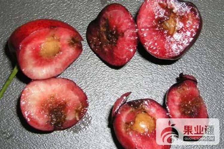 怎样防止大樱桃早期落叶病