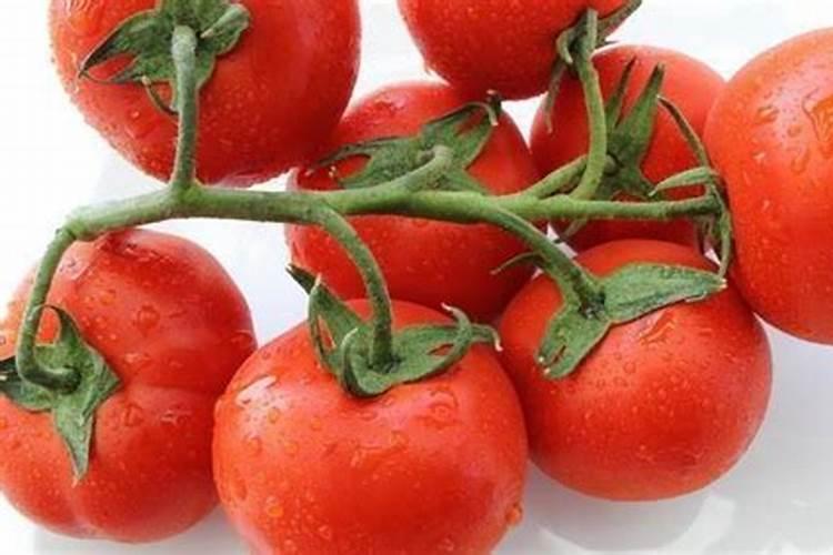 种植西红柿要施几次肥,一般施什么肥