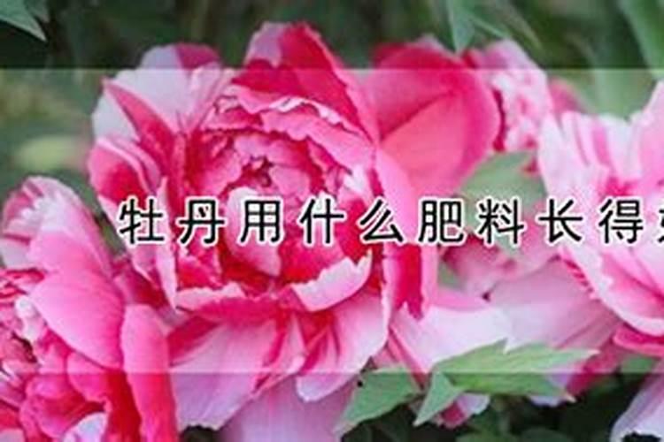 什么牌子的洗面奶适合12岁左右的女生去痘？