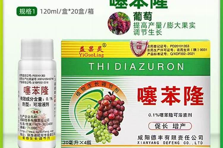 葡萄品种有哪些 哪个葡萄品种最好