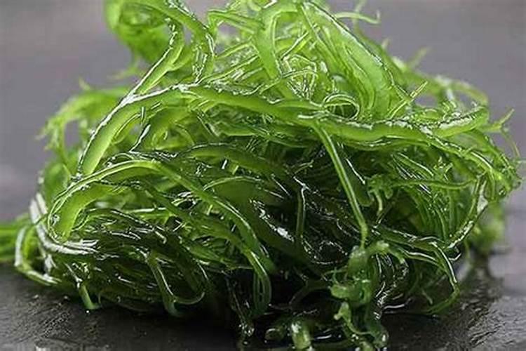 芦笋几月份种植