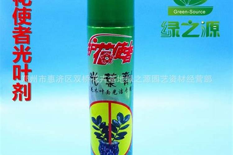 花叶喷什么又绿又亮
