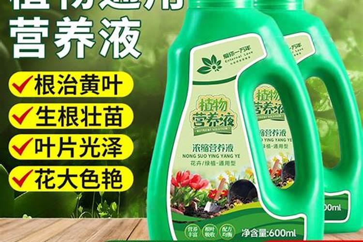 氨基酸营养液的功效与作用