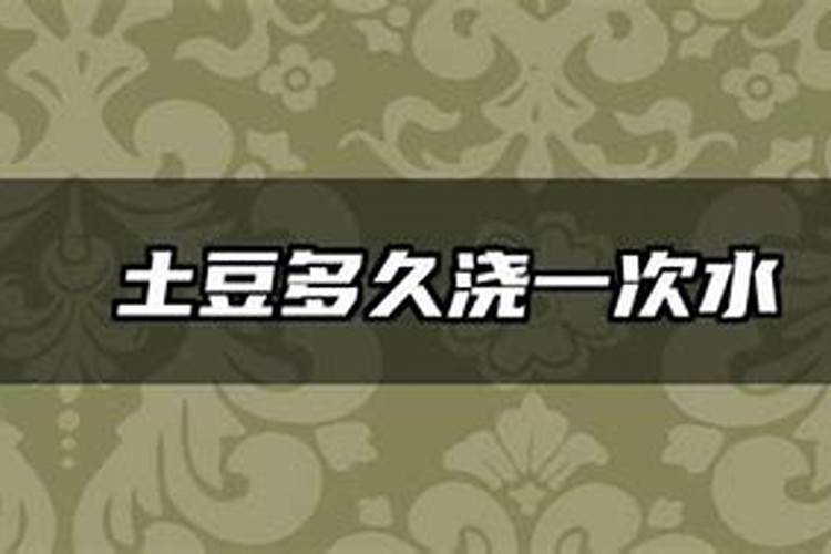 南方土豆如何施肥 南方土豆施肥时间和方法