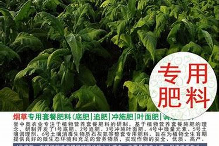 一亩烤烟用多少钾肥 什么时候施钾肥好
