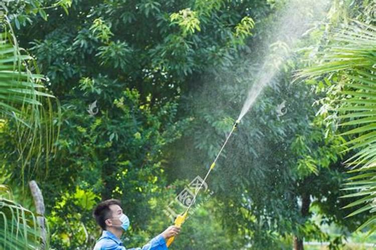 绿化地苗多久可以打叶面肥啊？