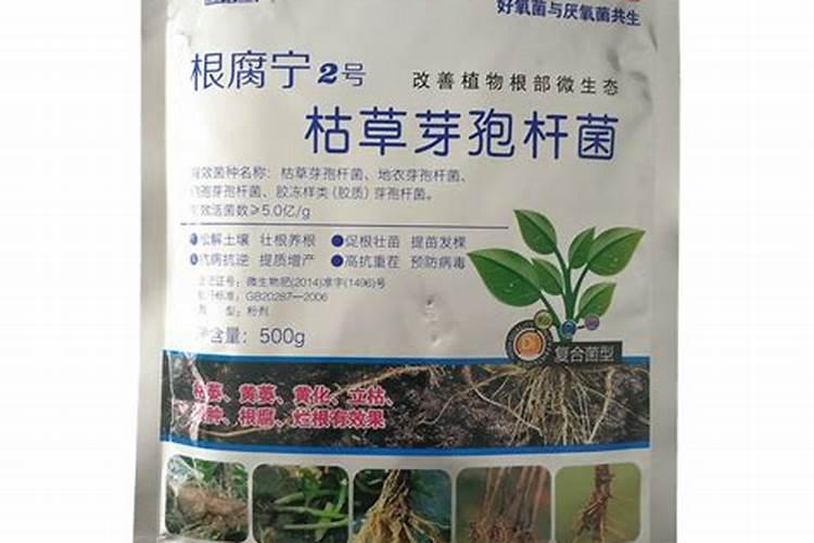 枯草芽孢杆菌是怎样起到抗菌作用的？