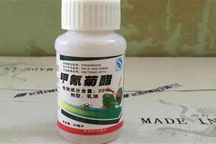 香蕉的炭疽病的防治方法