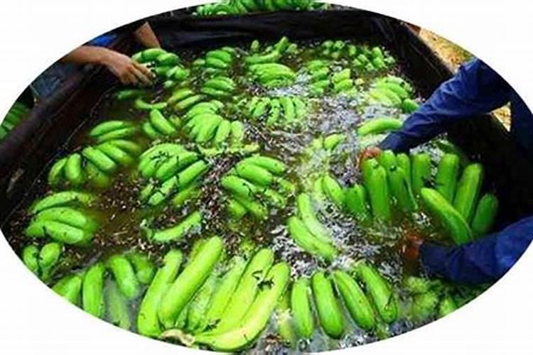 氟环唑杀菌剂治什么病最好