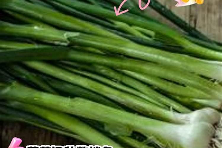 大葱先打药还是先打叶面肥