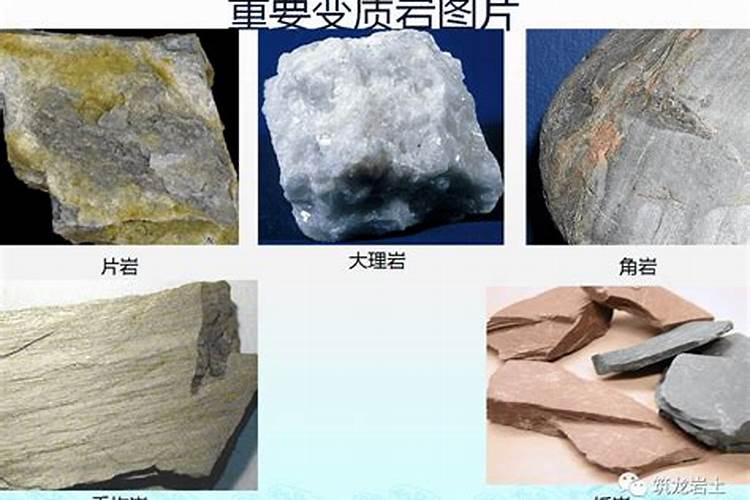 谁能帮我看一下石头 今天捡到的