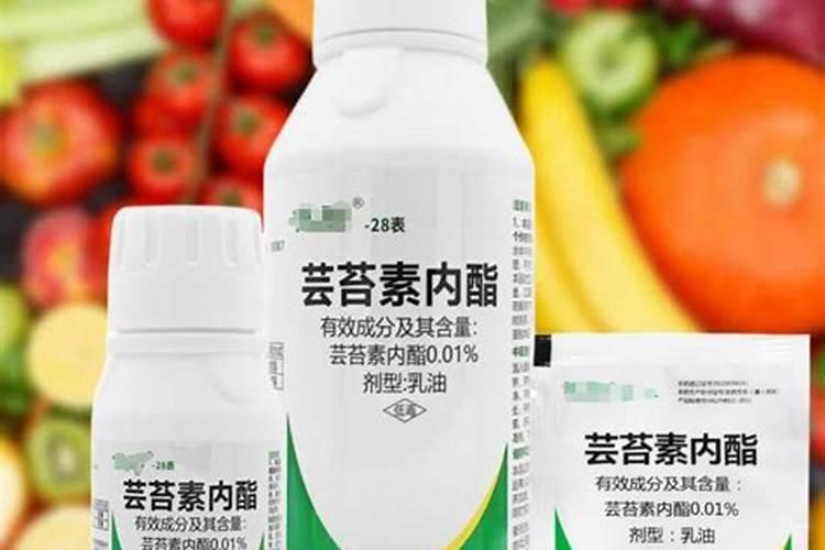 四季葱怎样施肥