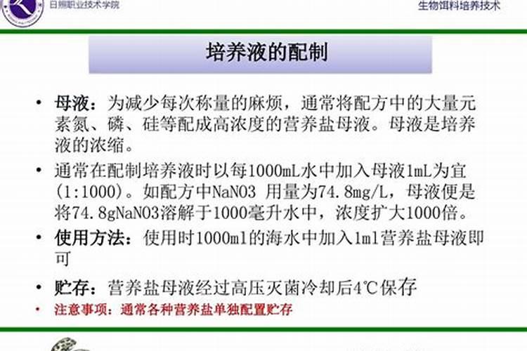 春天植物小苗浇水时间