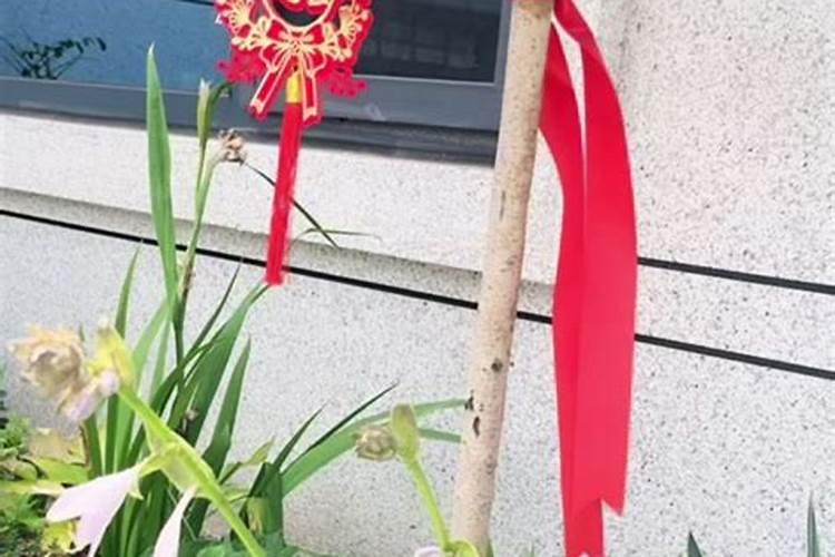 骨粉能做花肥吗 骨粉肥料使用方法