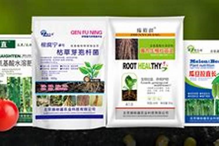 微量元素肥料很重要,平时要如何施用？