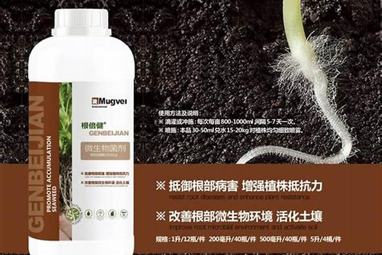 碧欧叶面肥能与百泰混用吗