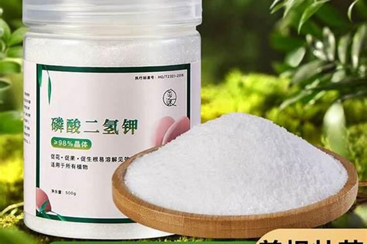 云南葡萄什么时候成熟上市